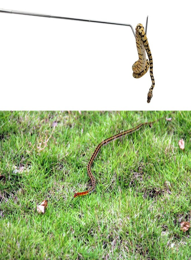 Bilindasly Portable Mini Snake Hook Collapsible Stainless Steel Snake Tongs and Reptile Supplies Hook Retractable Catching Snake Handling Tool 16cm to 68cm - Image 4